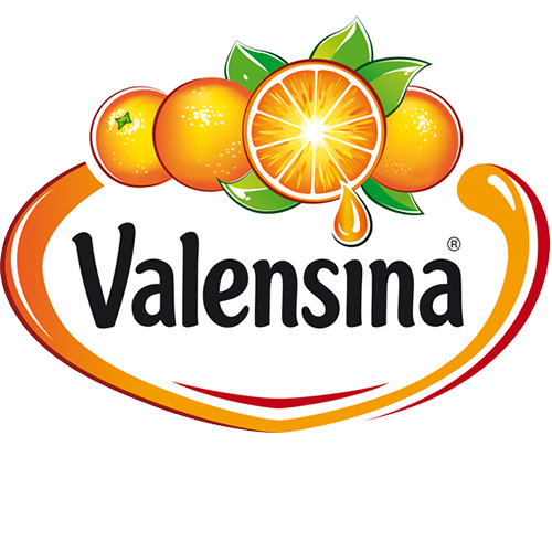 VALENSINA GmbH